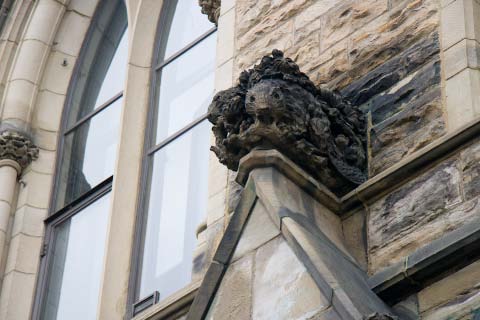 Beaver shot...old beaver