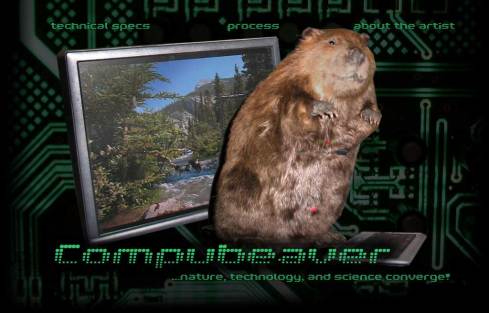 compubeaver!!!