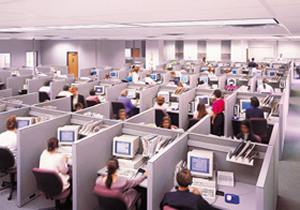 like animal farm, but with fluorescents