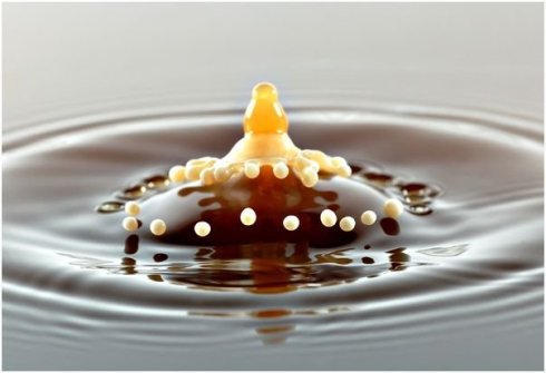 milk meets coffee, the finale!