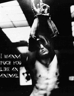 Closer. Here boy, here boy!