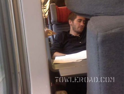 Jakeypoo, snoozing adorably