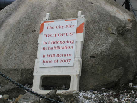 rehab for octupussies?