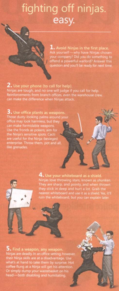 ninja defence poster