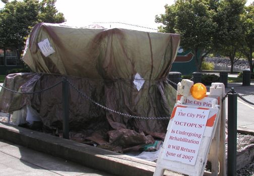 Just Call Me Habibibibibibibibi Just Call Me Habibibibibibibibi