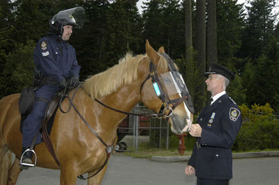 Police Horse in Vancouver