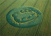 Hello Kitty Crop Circle