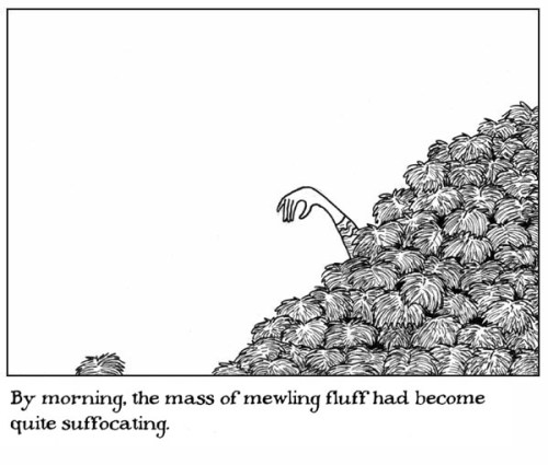 The Gorey Trouble with Tribbles