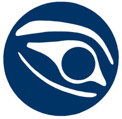 raincoaster logo yo!