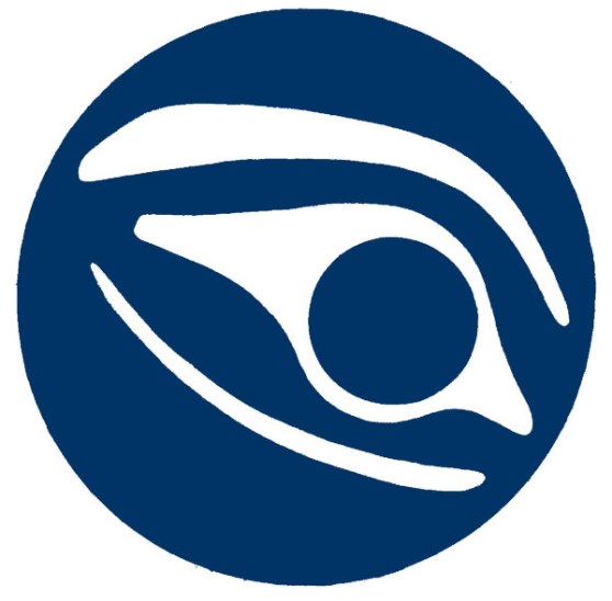 raincoaster media, yo