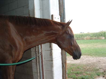 Freedom, so close and yet so far