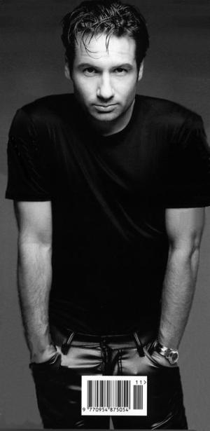 David Duchovny, himbo extraordinaire