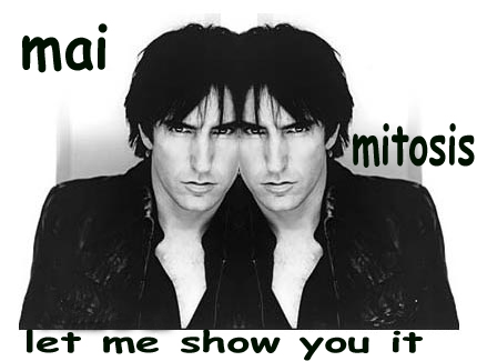 mai mitosis. Let me show u it