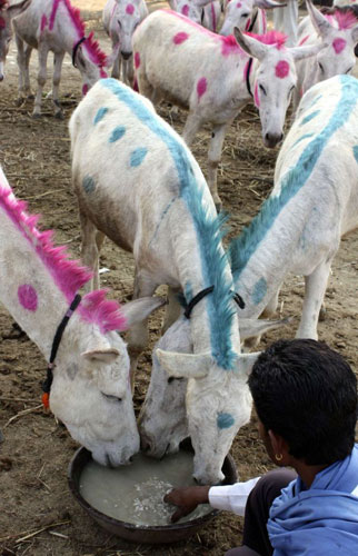 Does this make my ass look fat?