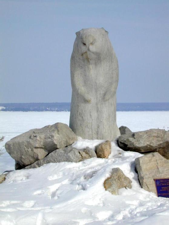 Wiarton Willie, rock hard and ready for action