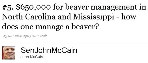 beaver john mccain