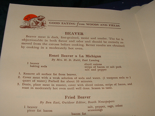 How to eat beaver
