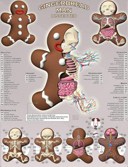 gingerbread man rip