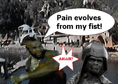 I pity the damn dirty ape