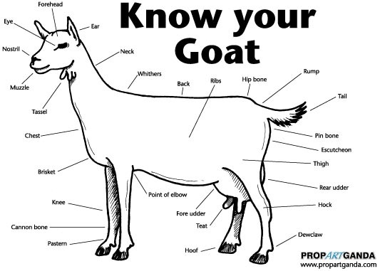 Know Your Goat, just, you know, not THAT WAY.