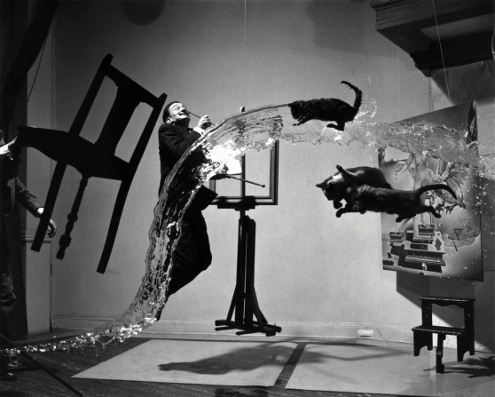 Dali and flying cats by philippe halsman
