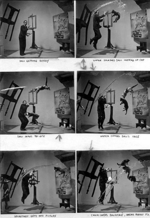 Dali and flying cats takes one through six