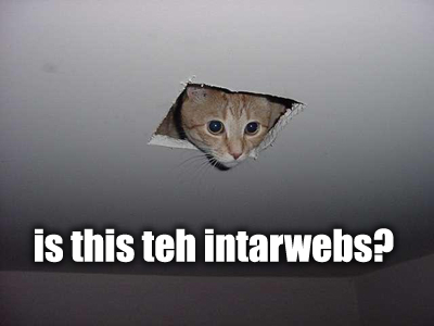 yes, this is they. they is us