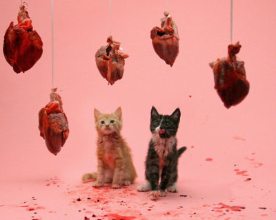 Kittens and hearts and pink! Oh my!