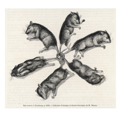 This was during the Krakatoa eruption, when Rlyeh briefly surfaced