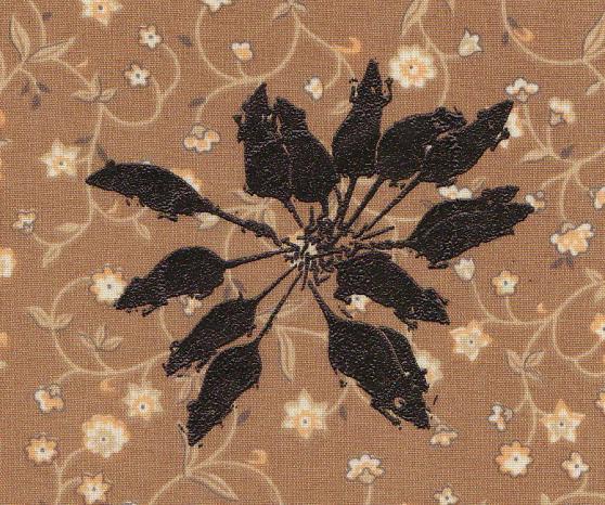 And in another age, these would have been daisies!