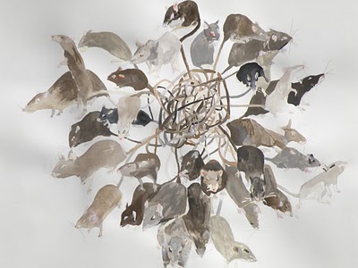 Rat King, the watercolour