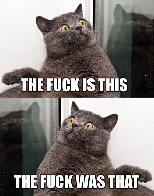 well what the fuck WAS that?