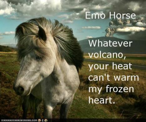 Emo pony doesn't care about your sugar. Life IS lumps, sweetie.