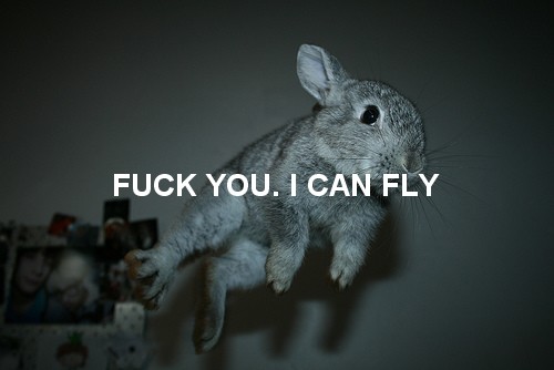 Fuck You I Can Fly