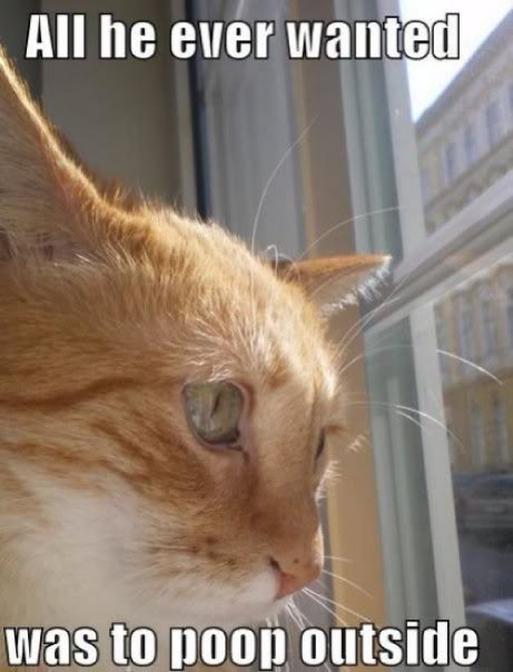 and it is everything you could ever dream of, my friend.