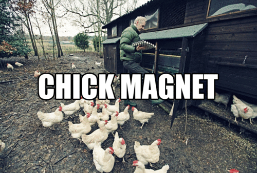 They simply flock to him