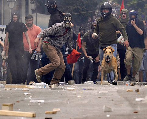 Riot Dog will take a bite out of the IMF
