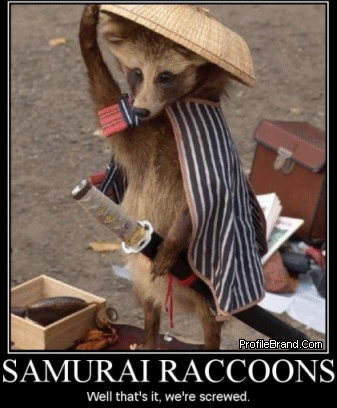 Samurai Raccoon. We're so fucked.