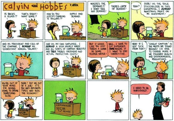 Calvin and Hobbes on Occupy Wall Street
