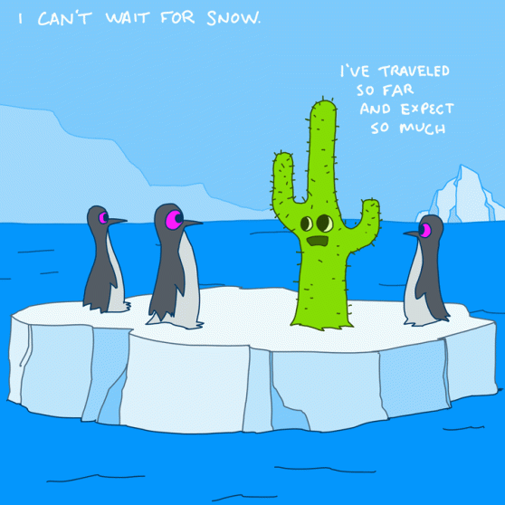 I was promised snow, dammit!