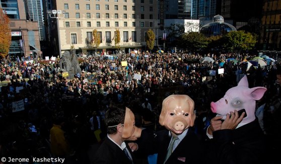 Three Little Pigs by Jerome Kashetsky