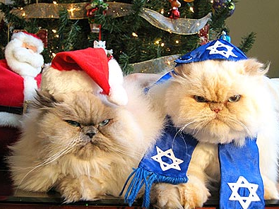 Hanukah and Christmas kittehs