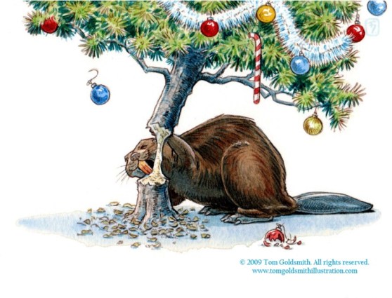 Tom Gold's Canadian Christmas