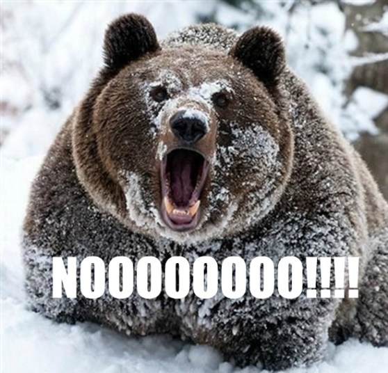 NO Moar Bear!