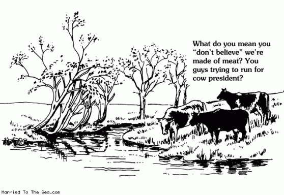 Oh, Elsie is in for a rude shock