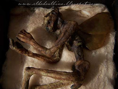 mummified cottingley fairy is mummified, akshuly