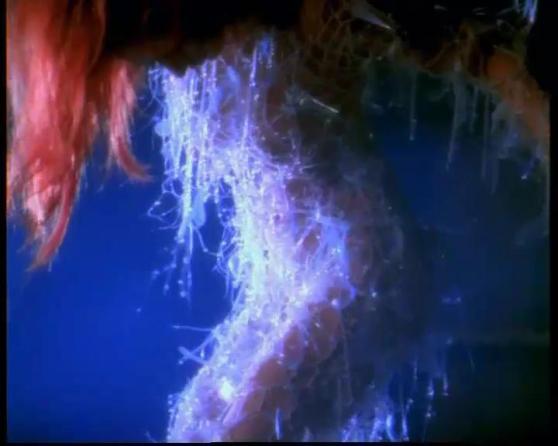 Mylene Farmer could never be called modest