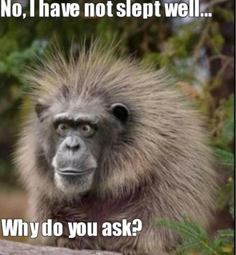 GPOY and how are YOU this morning?