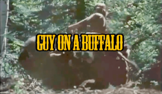 Guy on a buffalo