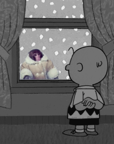 Darwin and Charlie Brown